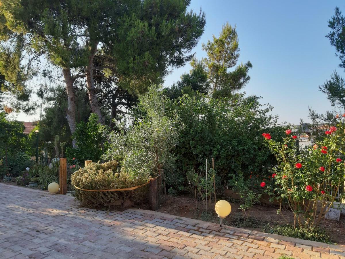 Litsas'Cozy House Villa Porto Rafti Exterior photo